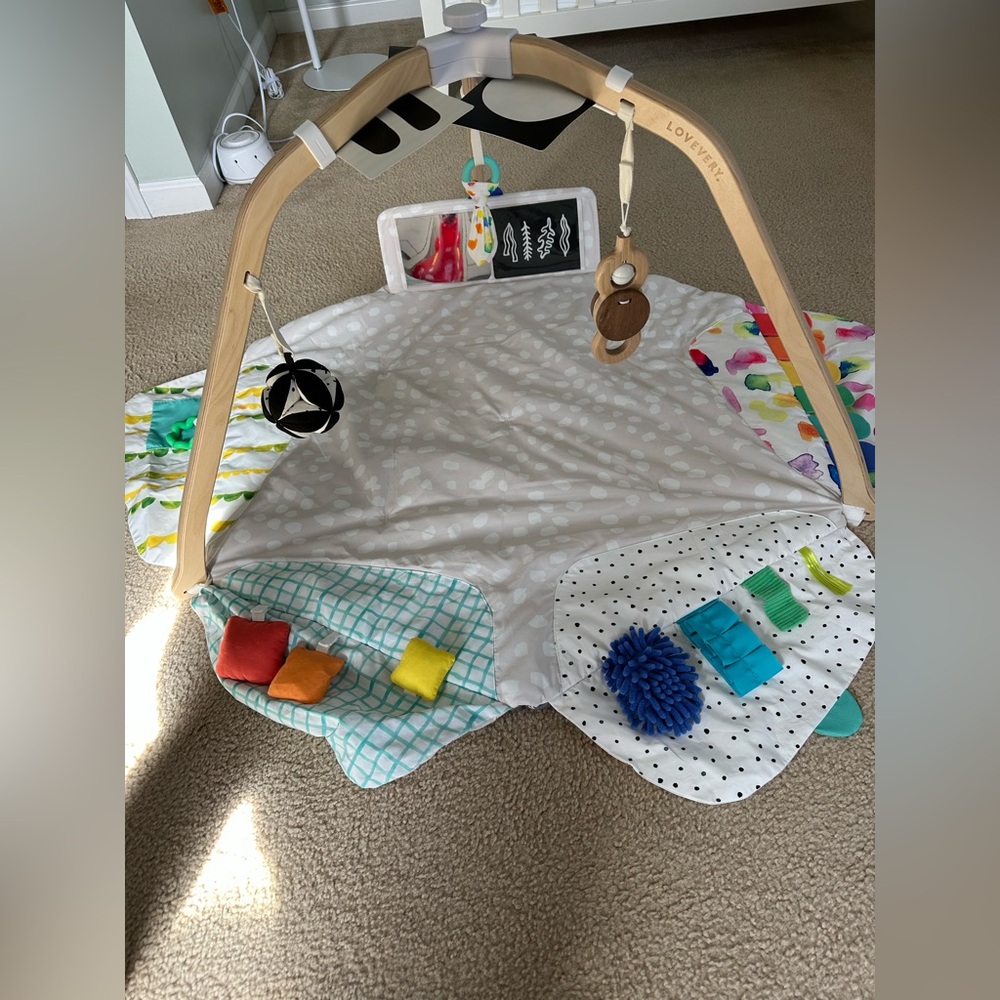 Lovevery Play Gym | Complete Set | Excellent Condition